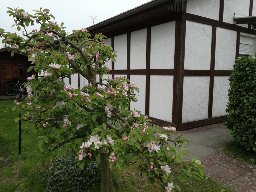 Ferienhaus Apfelbluete Twielenfleth 外观 照片